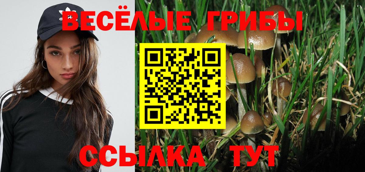 Псилоцибиновые грибы GOLDEN TEACHER Ялуторовск